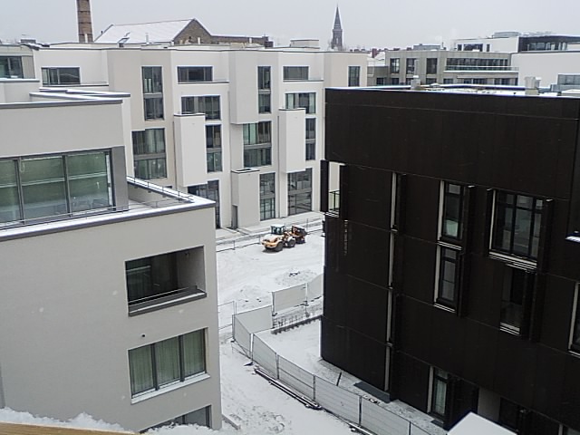 Bild